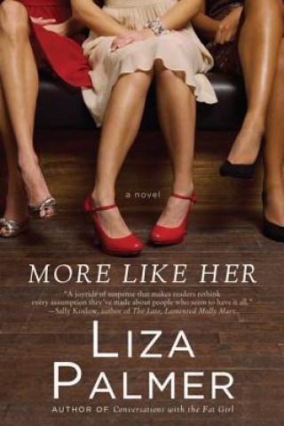 Buch More Like Her Liza Palmer