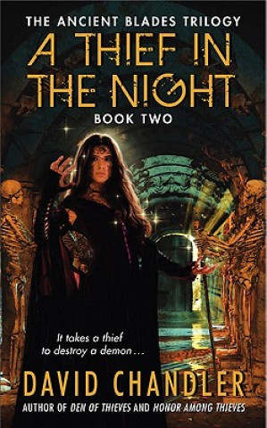 Kniha A Thief in the Night David Chandler