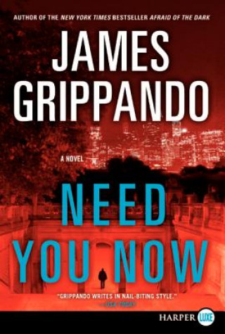 Könyv Need You Now (Large Print) James Grippando