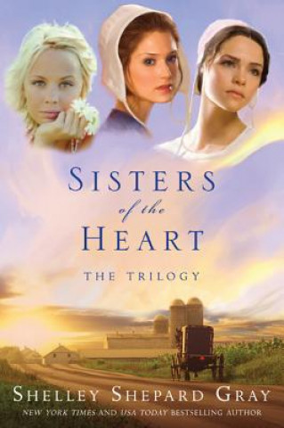 Livre Sisters of the Heart Shelley Shepard Gray