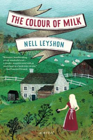 Kniha Colour of Milk Nell Leyshon