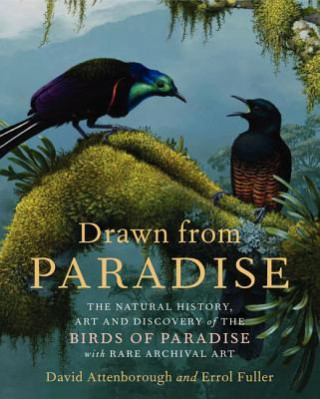 Książka Drawn from Paradise: The Natural History, Art and Discovery of the Birds of Paradise with Rare Archival Art David Attenborough