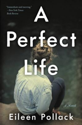 Kniha A Perfect Life Eileen Pollack