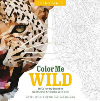 Book Trianimals: Color Me Wild: 60 Color-By-Number Geometric Artworks with Bite Hope Little