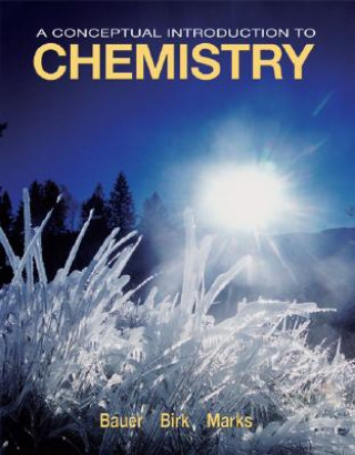 Könyv A Conceptual Introduction to Chemistry Richard C. Bauer