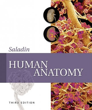 Knjiga Human Anatomy [With Access Code] Kenneth S. Saladin