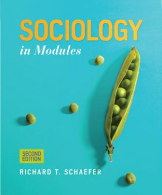 Könyv Sociology in Modules Richard T. Schaefer