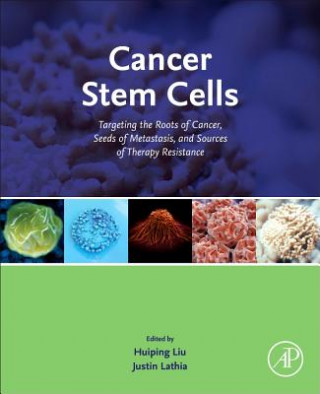 Könyv Cancer Stem Cells Huiping Liu