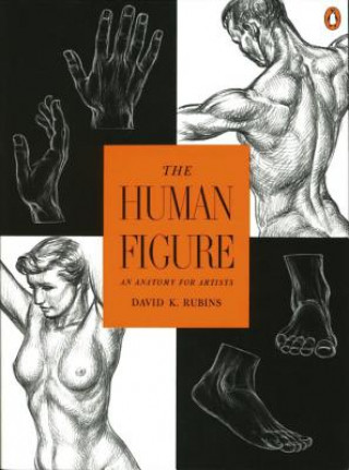 Book The Human Figure: An Anatomy for Artists David K. Rubins
