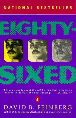 Buch Eighty-Sixed David B. Feinberg