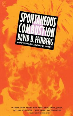 Book Spontaneous Combustion David B. Feinberg