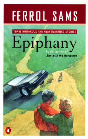 Buch Epiphany: Stories Ferrol Sams