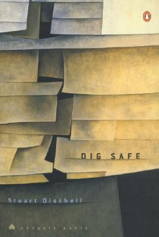 Knjiga Dig Safe Stuart Dischell