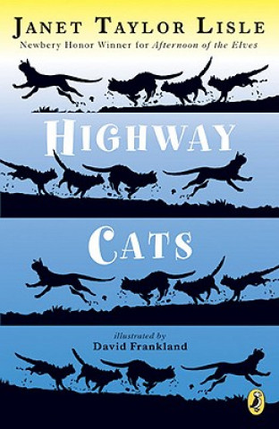 Kniha Highway Cats Janet Taylor Lisle