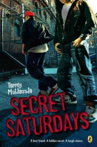 Книга Secret Saturdays Torrey Maldonado