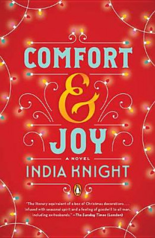 Book Comfort and Joy India Knight