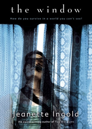 Knjiga The Window Jeanette Ingold