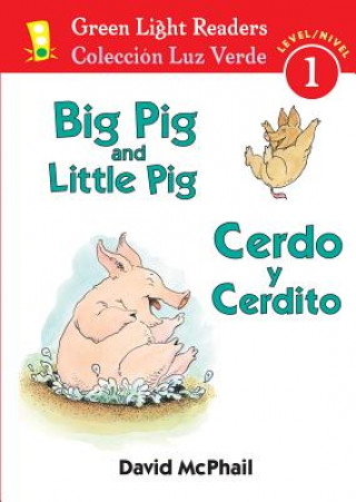 Książka Cerdo y Cerdito/Big Pig and Little Pig David McPhail