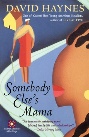 Kniha Somebody Else's Mama David Haynes