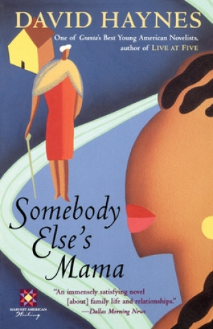 Книга Somebody Else's Mama David Haynes