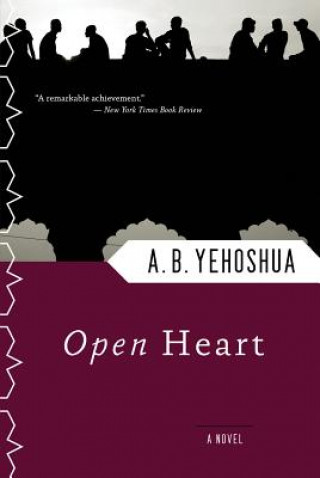 Kniha Open Heart Abraham B. Yehoshua
