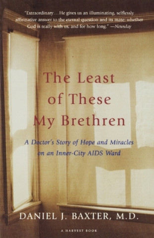 Kniha The Least of These My Brethren: A Doctor S Story of Hope and Miracles in an Inner-City AIDS Ward Daniel J. Baxter