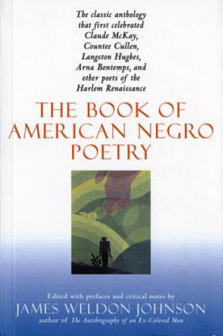 Kniha The Book of American Negro Poetry: Revised Edition James Weldon Johnson