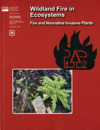 Книга Wildland Fire in Ecosystems: Fire and Nonnative Invasive Plants: Fire and Nonnative Invasive Plants Rocky Mountain Research Statiion Forest