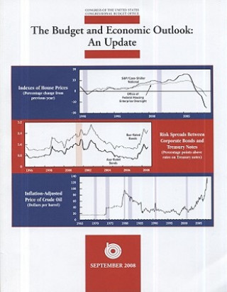 Book Budget and Economic Outlook: An Update (2008) United States