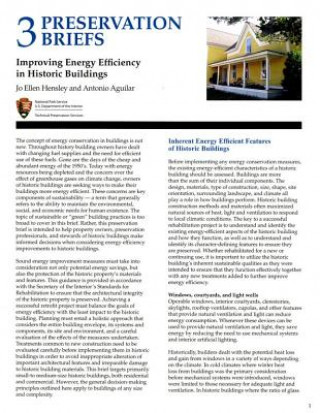 Kniha Improving Energy Efficiency in Historic Buildings Jo Ellen Hensley