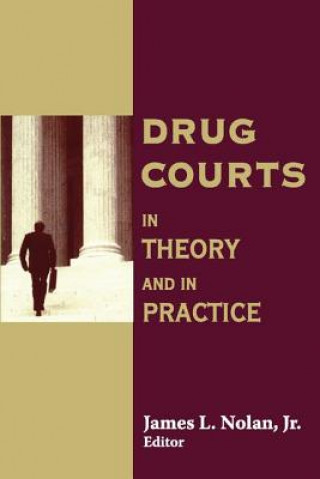 Kniha Drug Courts James Nolan