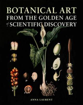 Kniha Botanical Art from the Golden Age of Scientific Discovery Anna Laurent