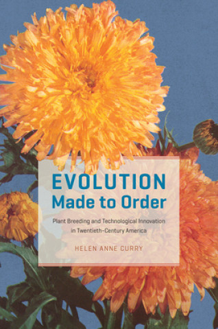 Book Evolution Made to Order Helen Anne Curry