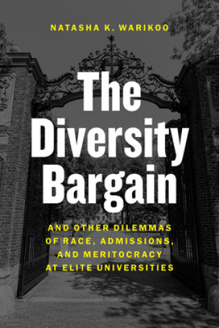 Kniha Diversity Bargain Natasha K. Warikoo