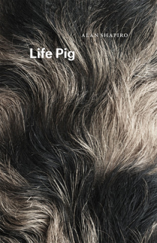 Könyv Life Pig Alan Shapiro