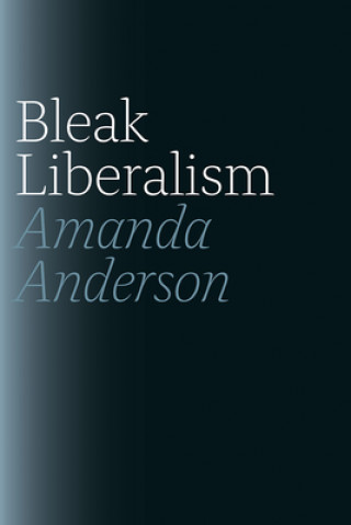 Kniha Bleak Liberalism Amanda Anderson