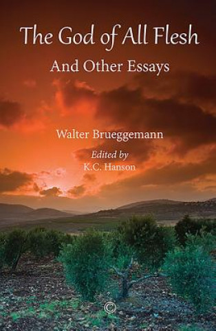 Książka The God of All Flesh: And Other Essays Walter Brueggemann