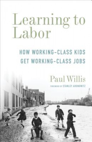 Könyv Learning to Labor - How Working-Class Kids Get Working-Class Jobs Paul Willis