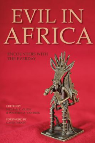 Kniha Evil in Africa David Parkin