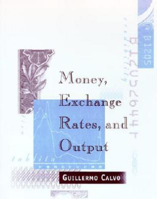 Książka Money, Exchange Rates, and Output Guillermo Calvo