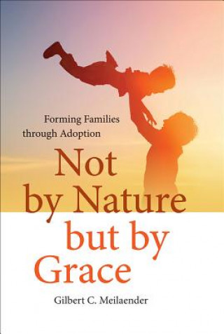 Buch Not by Nature but by Grace Gilbert C. Meilaender