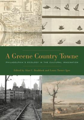 Livre Greene Country Towne Alan C. Braddock