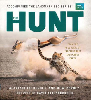 Kniha The Hunt: The Outcome Is Never Certain Alastair Fothergill