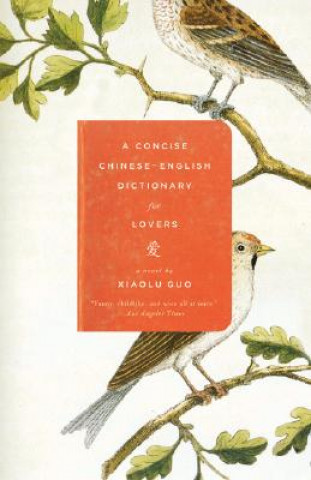 Kniha Concise Chinese-English Dictionary for Lovers Xiaolu Guo