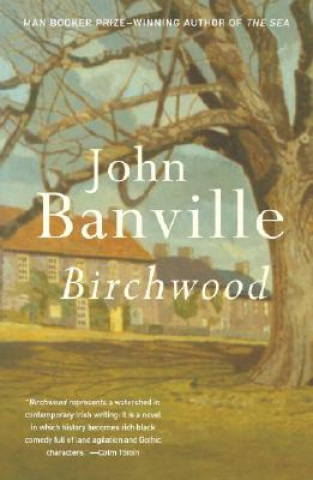 Carte Birchwood John Banville