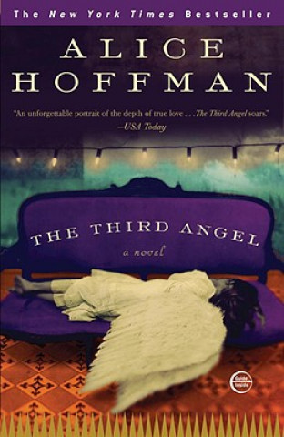 Kniha The Third Angel Alice Hoffman