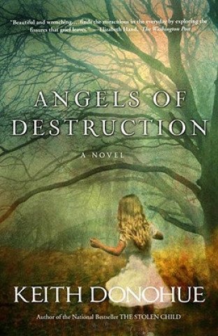 Carte Angels of Destruction Keith Donohue