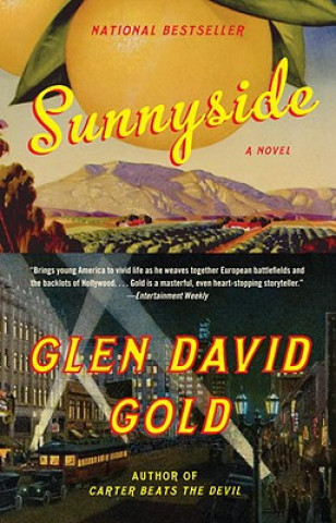 Buch Sunnyside Glen David Gold