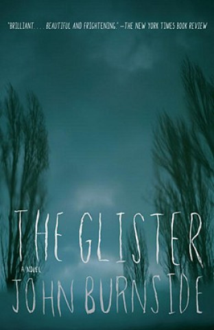 Book The Glister John Burnside