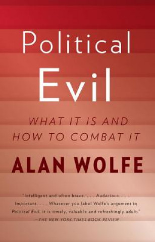Könyv Political Evil: What It Is and How to Combat It Alan Wolfe